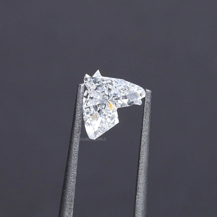 Diamant taillé en forme de tête de cheval unique