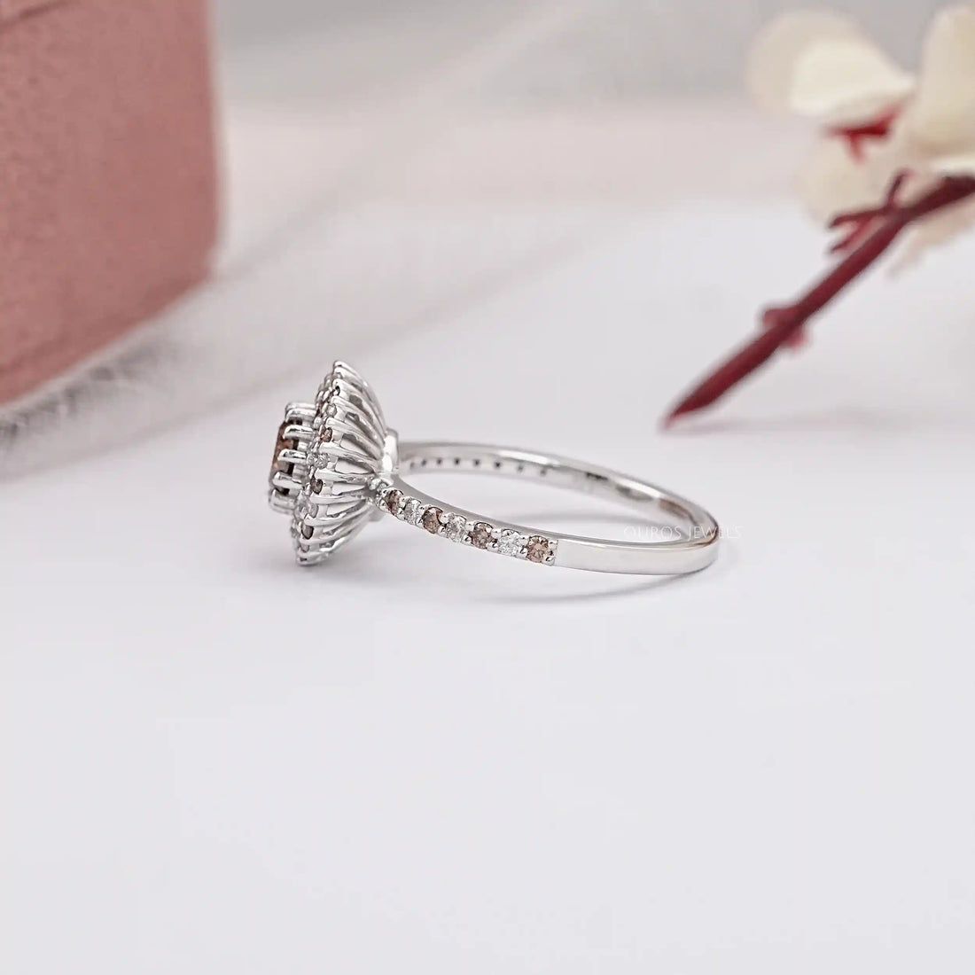 Fancy Round Brown Diamond Double Halo Accent Set Ring Ring