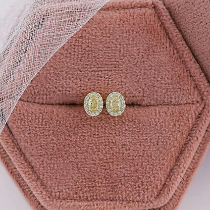 Yellow Oval Diamond Halo Stud Earrings Earrings