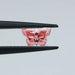 0.50 carat loose lab grown pink diamond butterfly cut held with tweezer